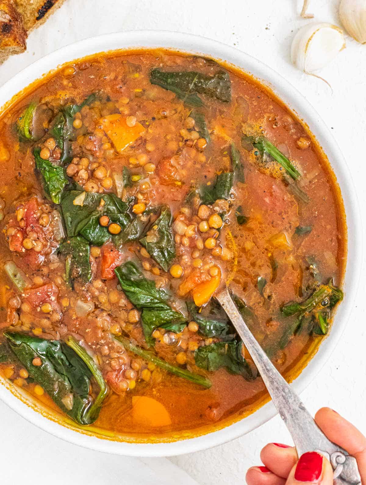 LENTIL VEGETABLE SOUP