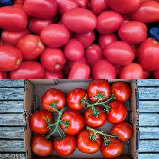 No Jar, No Freezer: How to Preserve Tomatoes Naturally for Up to 10 Years