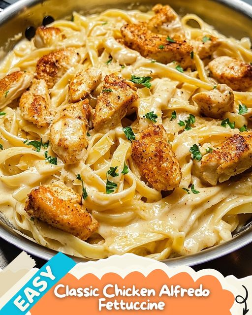 Classic chicken alfredo fettucine