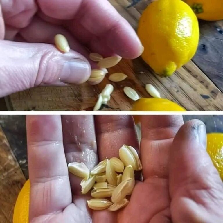 When squeezing lemons